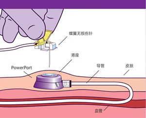 微信图片_202201091608364_副本.jpg